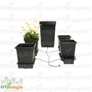 AUTOPOT - 1 Pot SYSTEM - Kit 4 VASI (Con tanica 47LT +raccordo 6MM)