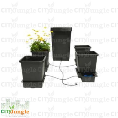 AUTOPOT - 1 Pot SYSTEM - Kit 4 VASI (Con tanica 47LT +raccordo 6MM)