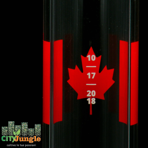 ROOR - Bong 5.0 Canada Releafed 45cm edizione limitata