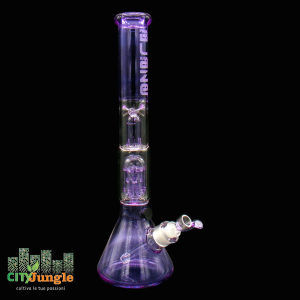 Blaze - Bong Flask 6 bracci 40cm Rosa