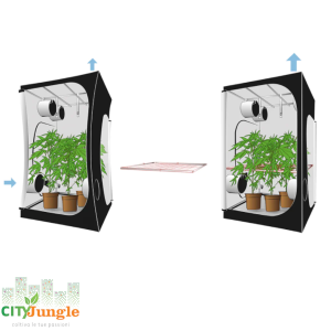 Secret Jardin - Grow box - Dark room DR120 3.0 120x120x200