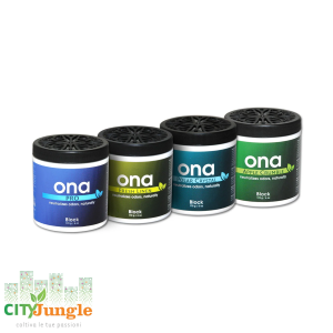 ONA Block - Elimina odori Polar crystal 170g