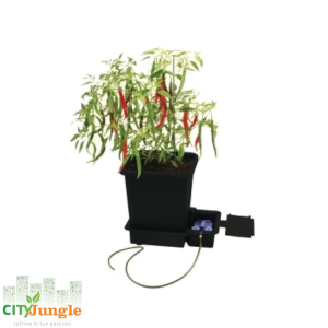 AUTOPOT - 1 Pot System - Kit 6 vasi (Con tanica 47LT +raccordo 6MM)