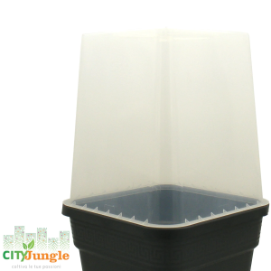 Vaso Serra per vaso in plastica 11L