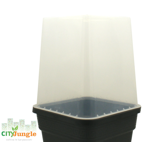 Vaso Serra per vaso in plastica 11L