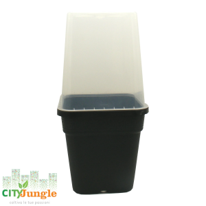 Vaso Serra per vaso in plastica 11L