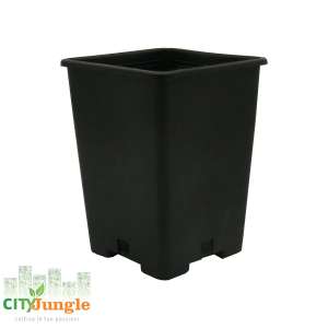 Vaso in plastica quadrato 10X10X17 1.4L