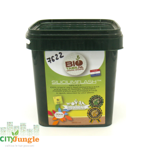 Biotabs Silicium flash 1,5 Kg