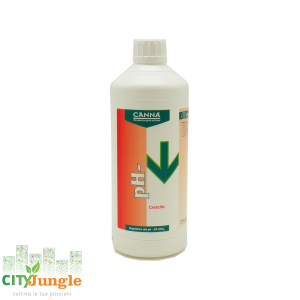 Canna Ph- Crescita 3% 1L