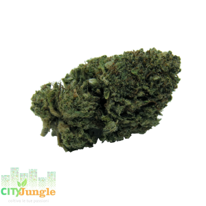 Dinamed Kush (THCbd)
