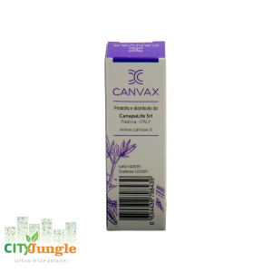 Canvax - Olio CBD 10% Flacone da 10 ml