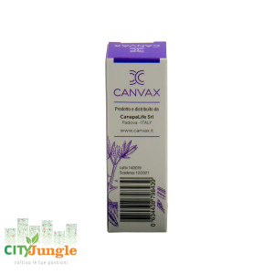 Canvax - Olio CBD 10%