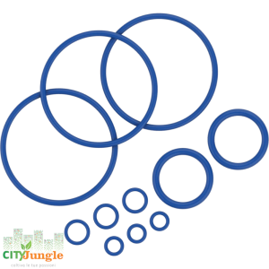 STORZ&BICKEL - Set anello di tenuta MIGHTY+