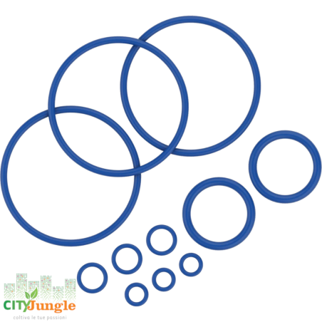 STORZ&BICKEL - Set anello di tenuta MIGHTY+