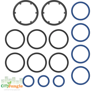 Storz&Bickel - Set di anello per Solid Valve