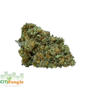 Orange Cookies CBD