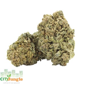 Crystal Snow CBD
