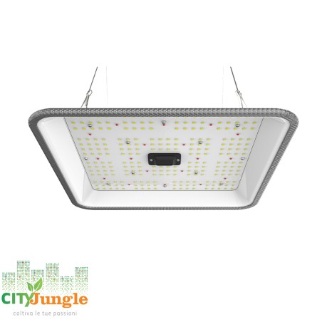 Ortoled - Quantum full cycle 60 Watt 2.7µmol/J