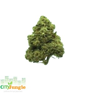 CBD - Amnesia Canapa Indoor