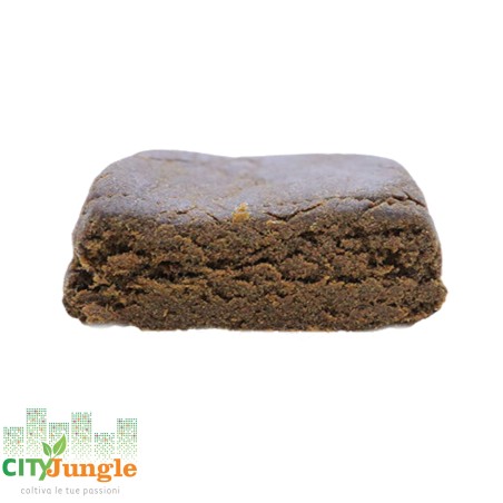Hash - Caramel Filtered CBD