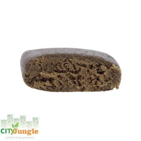 CBN Hash CBD