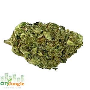 CBD - Panama Gold Canapa Indoor