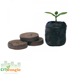 Kit Grow Box Completo 100x100cm con hps