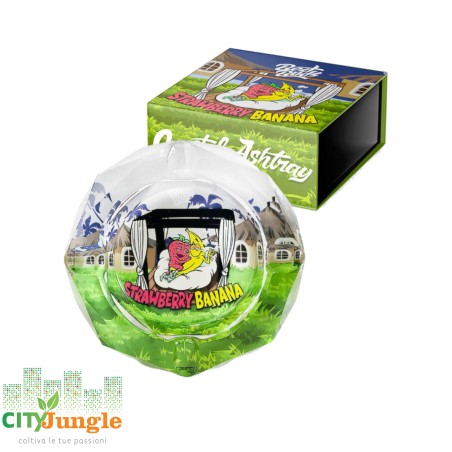 Best Buds - Posacenere Strawberry Banana