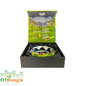 Best Buds - Posacenere Strawberry Banana