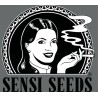 Sensi seeds