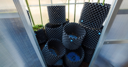 Air Pot: cosa sono e come funzionano i vasi ossigenanti